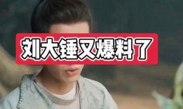 刘大锤最新爆料一览图,揭秘娱乐圈幕后风云