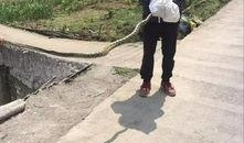 筠连网友爆料最新,揭秘当地最新热点事件！