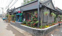 最新星光飞宠爆料2025,未来宠物界的璀璨之星