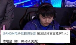 kpl最新消息瓶子爆料,瓶子揭秘战队内幕，精彩瞬间即将揭晓！